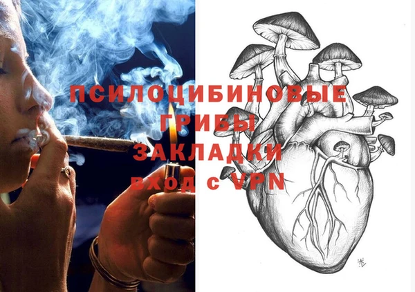 прущая мука Инта
