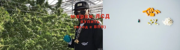 стафф Инсар