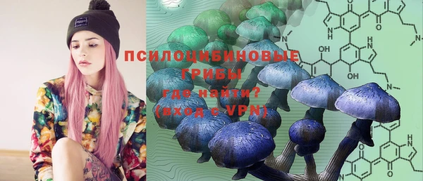 прущая мука Инта